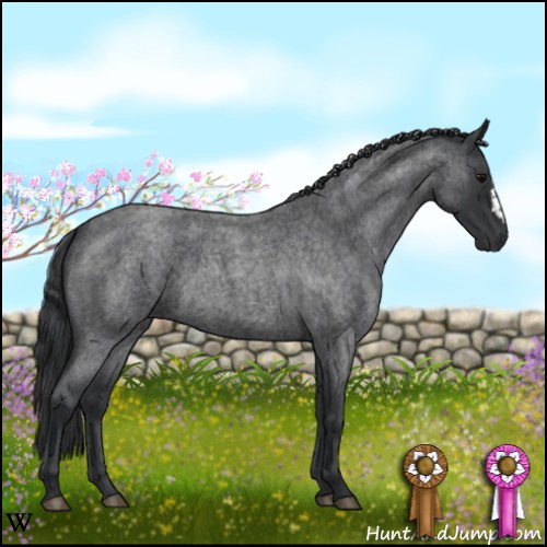 Horse Color:Blue Roan 