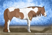 Horse Color:Chestnut Sabino Tobiano 