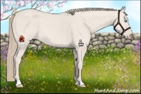 Horse Color:Smoky Creme Dun 