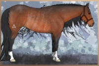 Horse Color:Brown Rabicano 