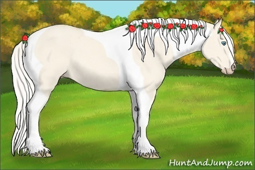 Horse Color:Cremello Dun Tobiano 