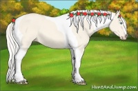 Horse Color:Cremello Dun Tobiano 