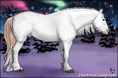 Horse Color:Buckskin Roan Blanket