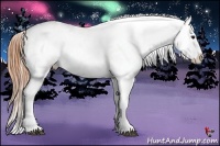 Horse Color:Buckskin Roan Blanket