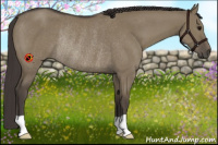 Horse Color:Smoky Grullo Rabicano 