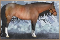 Horse Color:Bay Rabicano 