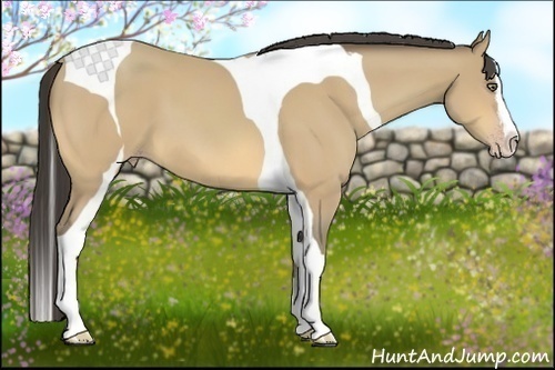 Horse Color:Amber Cream Champagne Splash Tobiano 