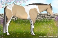 Horse Color:Amber Cream Champagne Splash Tobiano 