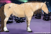 Horse Color:Sable Cream Champagne Ice 