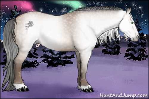 Horse Color:Gray Amber Champagne