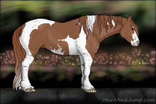 Horse Color:Chestnut Sabino Tobiano