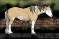 Horse Color:Buckskin Dun Sabino Splash