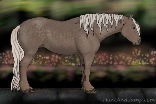 Horse Color:Silver Black 