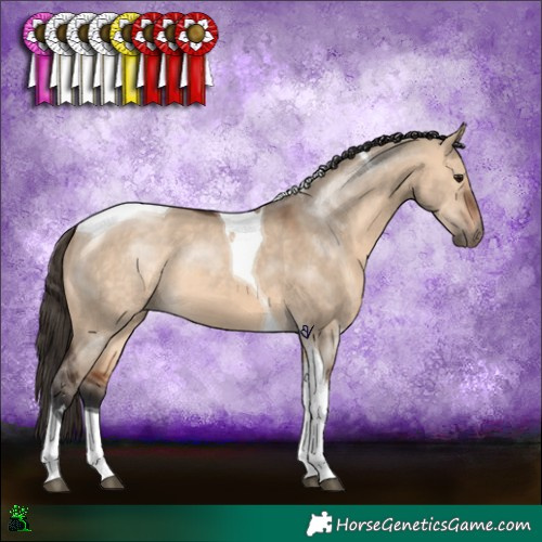 Horse Color:Bay Dun Sabino Tobiano 