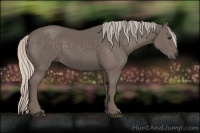 Horse Color:Silver Black 