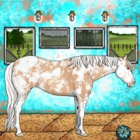 Horse Color:Silver Amber Champagne Sabino Blanket 