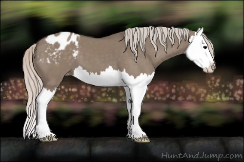 Horse Color:Silver Grullo Splash Appaloosa 