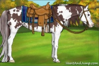 Horse Color:White Spotted Chocolate Black Splash 