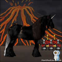 Horse Color:Void White Spotted Chocolate Brown Roan Dun Splash Appaloosa 