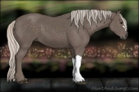 Horse Color:Silver Black 
