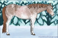 Horse Color:White Spotted Liver Chestnut Ice Varnish 