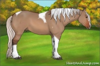 Horse Color:Silver Brown Dun Sabino Tobiano
