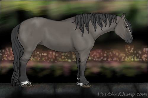 Horse Color:Grullo Sabino 