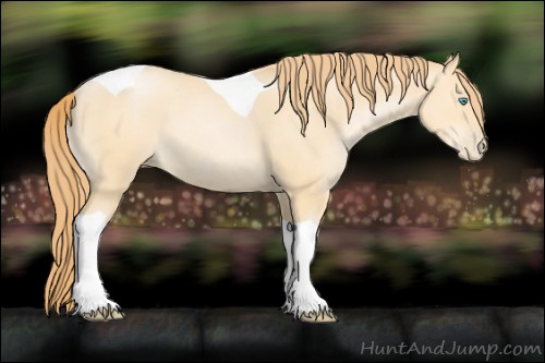 Horse Color:Buckskin Pearl Tobiano 
