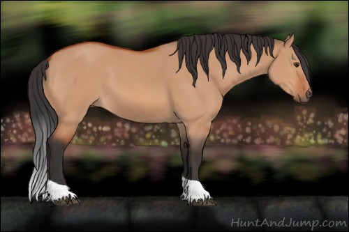 Horse Color:Brown Dun Tobiano 