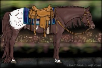 Horse Color:Chocolate Black Appaloosa Rabicano 