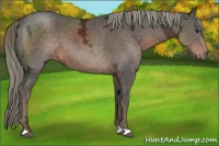 Horse Color:Liver Chestnut Ice 
