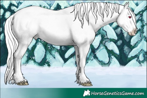 Horse Color:Liver Chestnut Chinchilla Ice Mushroom Splash Tobiano 