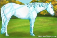 Horse Color:Thunderstruck Liver Red Onyx Chinchilla Sabino Blanket 