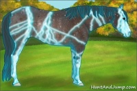 Horse Color:Thunderstruck Brown Sabino Appaloosa Rabicano 