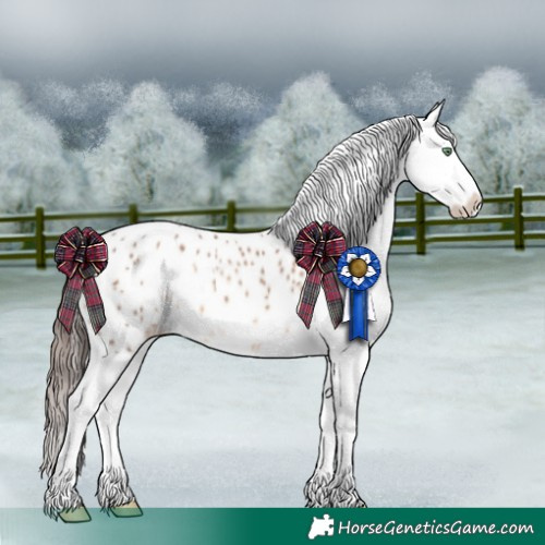Horse Color:Sable Champagne Appaloosa 