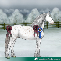 Horse Color:Sable Champagne Appaloosa 