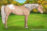 Horse Color:Silver Bay Pearl Varnish 