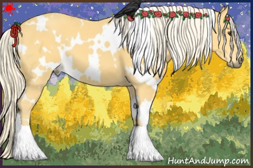 Horse Color:White Spotted Palomino
