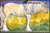 Horse Color:White Spotted Palomino