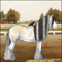Horse Color:White Spotted Buckskin Dun Splash Rabicano