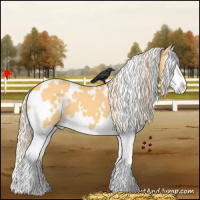 Horse Color:White Spotted Palomino Dun Splash 