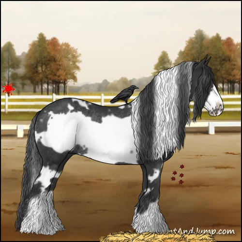 Horse Color:White Spotted Black Frame Rabicano 