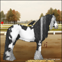 Horse Color:White Spotted Black Frame