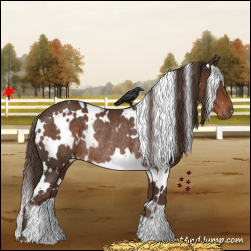 Horse Color:White Spotted Liver Chestnut Rabicano 