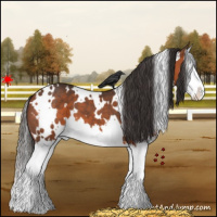 Horse Color:White Spotted Bay Splash
