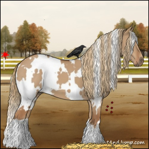 Horse Color:White Spotted Red Dun