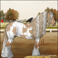 Horse Color:White Spotted Red Dun 