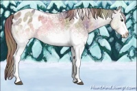 Horse Color:Nacre White Spotted Liver Chestnut Ice Tobiano Appaloosa 