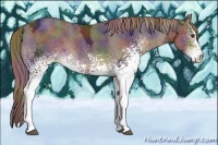 Horse Color:Nacre White Spotted Liver Chestnut Ice 