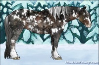 Horse Color:White Spotted Liver Chestnut Ice Sabino Rabicano 